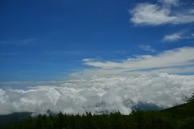 DSC_3657 (Large).JPG